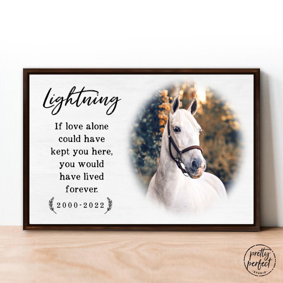 Personalized Pet Memorial, Sympathy Gift for Loss of Horse, Deceased Animal Gift, When Tomorrow Starts Without Me, In Loving Memory of pet